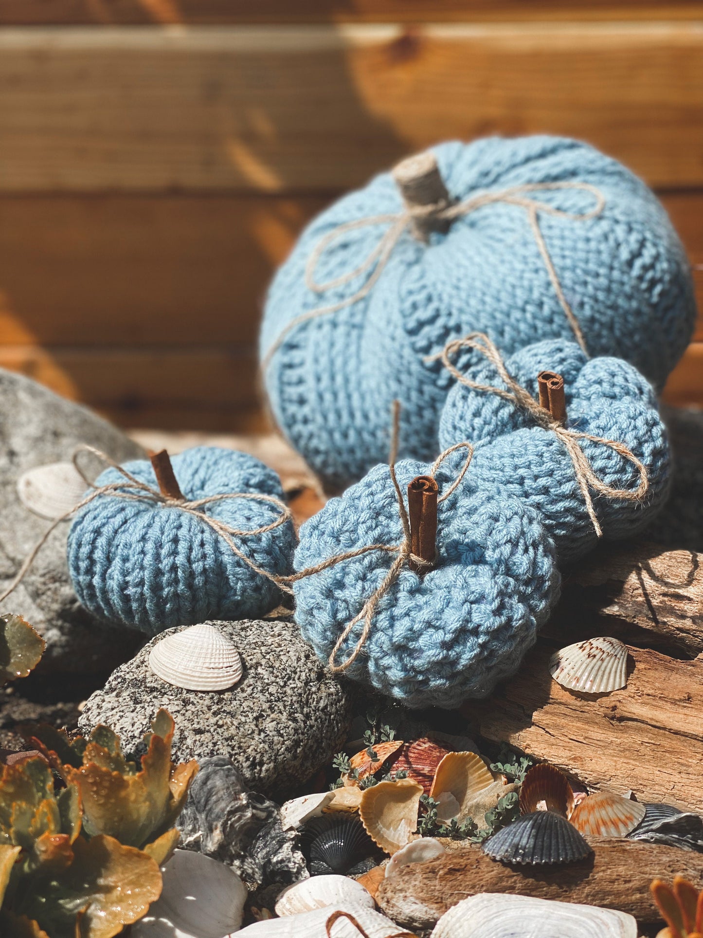 Coastal Blue Pumpkin Pillow