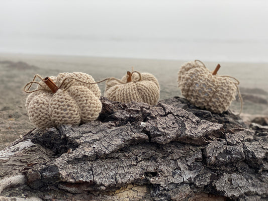 Mini Beige Pumpkins