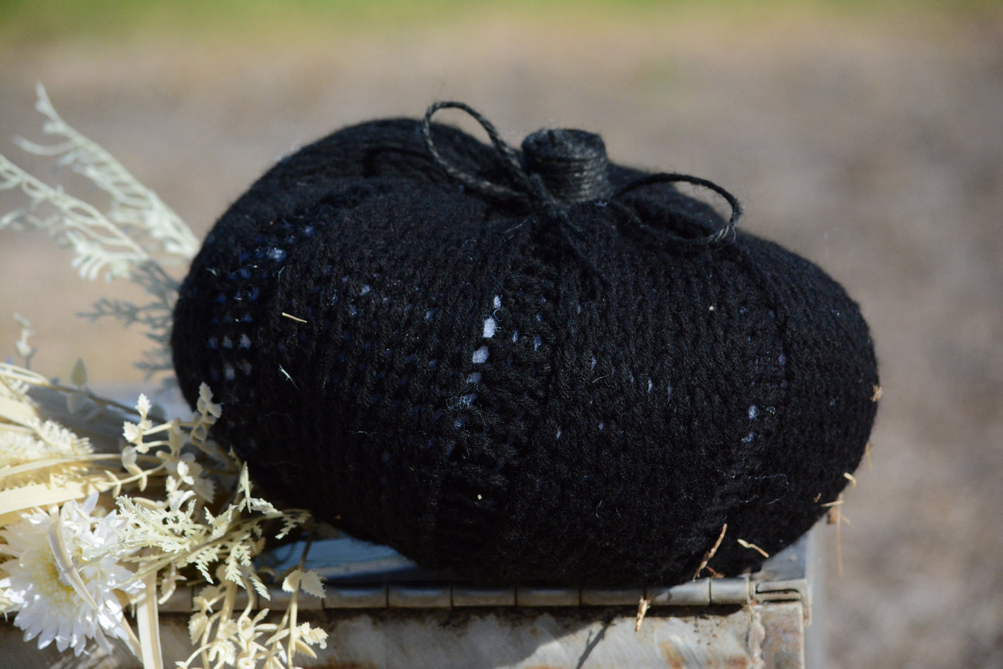 Coastal Knitted Black Pumpkin Pillow